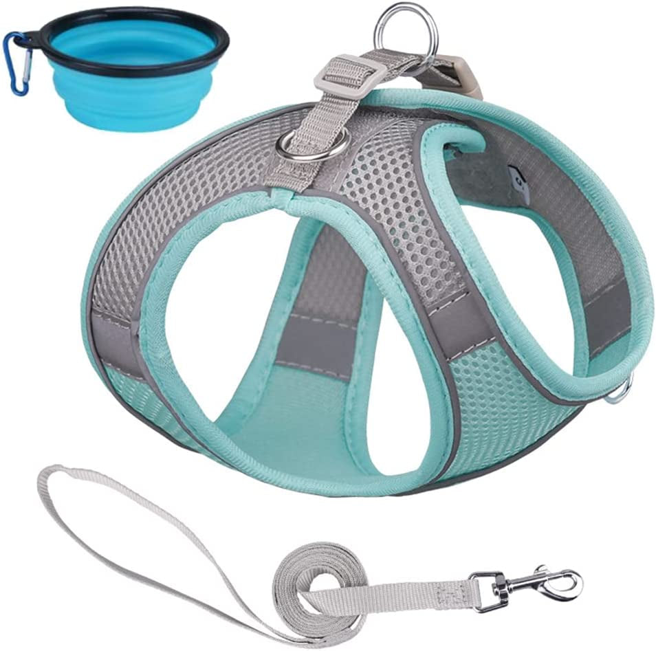 Dog Harness and Leash Set Reflective Pet Puppy Vest Harnesses Adjustable Step in Soft Mesh for Medium Girl Boy Cats Kitten Orange Animals & Pet Supplies > Pet Supplies > Dog Supplies > Dog Apparel Weimostar Green-Gray XS 