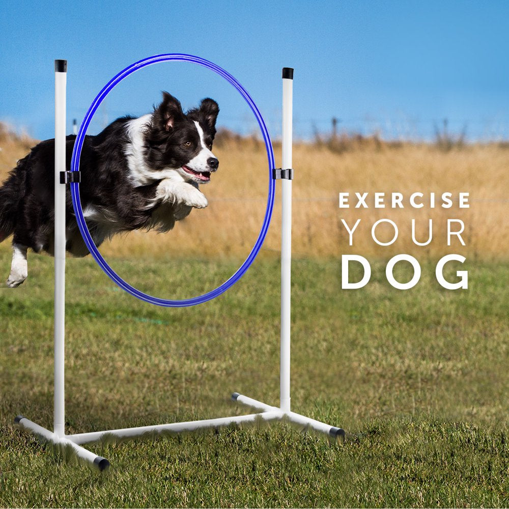 Better Sporting Dogs 3 Pc Dog Agility Equipment | Bar Jump | Tire Jump | 10’ Tunnel & Bags