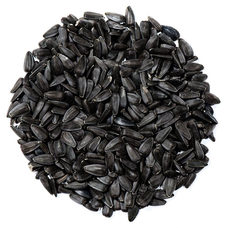 Natures Nuts Assorted Species Black Oil Sunflower Seed Wild Bird Food 10 Lb Animals & Pet Supplies > Pet Supplies > Bird Supplies > Bird Food Chuckanut Products Inc   