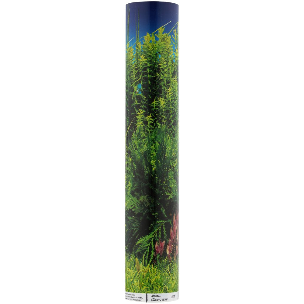 Marina Background, 18"X 25' Plant Aquarium Scene/Solid Black