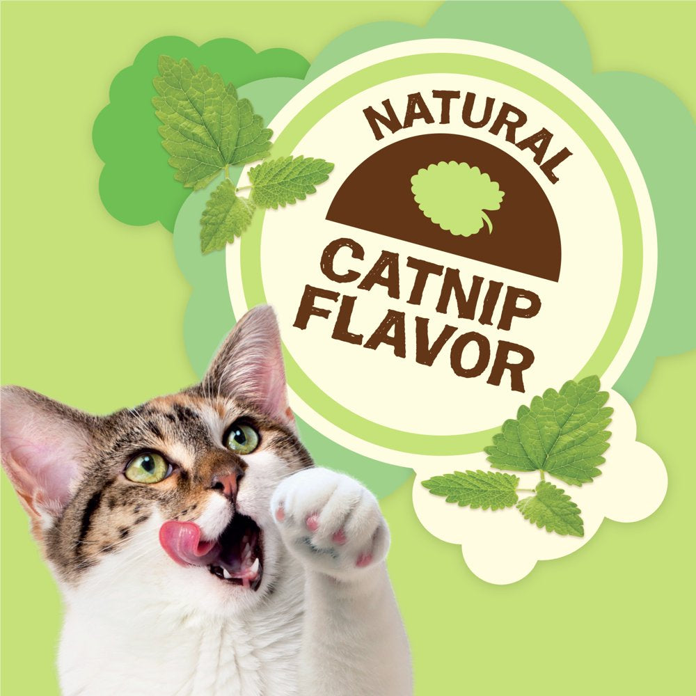 Friskies , Natural Cat Treats, Party Mix Natural Yums Catnip Flavor, 6 Oz. Pouch Animals & Pet Supplies > Pet Supplies > Cat Supplies > Cat Treats Nestlé Purina PetCare Company   