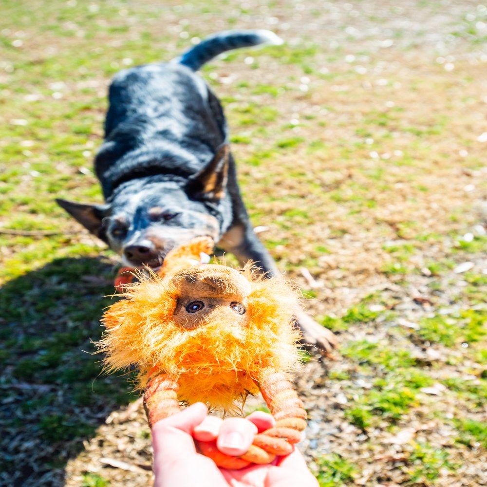Vibrant Life Tough Buddy Farm Friends with Rope Dog Toys – KOL PET