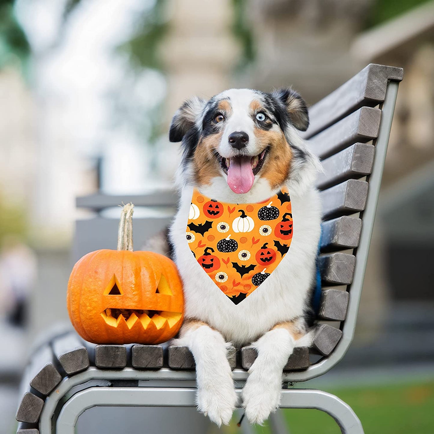 2 Pack Halloween Dog Bandana, Holiday Cat Pumpkin Candy Corn Bandana Bibs Scarf Accessories for Small Mediun Large Dogs and Cats Pets Puppies (Large) Animals & Pet Supplies > Pet Supplies > Dog Supplies > Dog Apparel Pohshido   