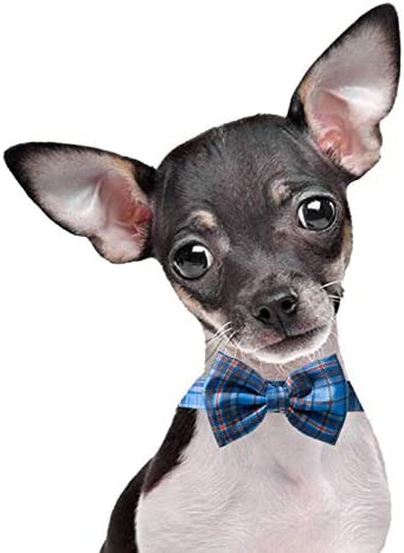 Pet Heroic Pet Dog Cat Collar with Grid Bow Tie, Adjustable Plaid Pet Dogs Cats Comfortable Durable Bowtie Collars for Small Medium Large Dogs Cats in 3 Styles Animals & Pet Supplies > Pet Supplies > Dog Supplies > Dog Apparel NingBo Pet Heroic supply co.,ltd   