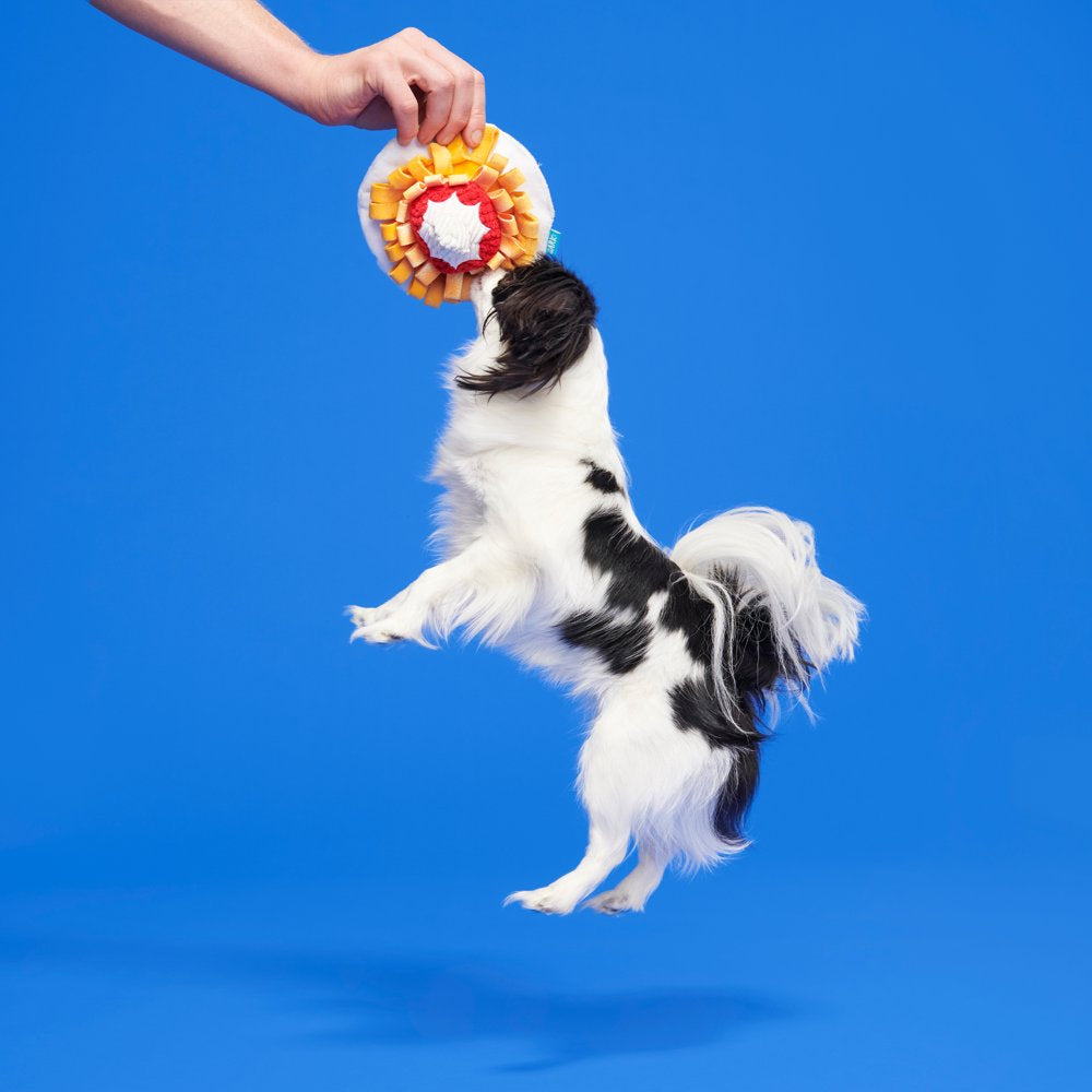 BARK Founding Funnel Cake - Yankee Doodle Dog Toy, Great for Hiding Treats, XS-M Dogs Animals & Pet Supplies > Pet Supplies > Dog Supplies > Dog Toys BARK   