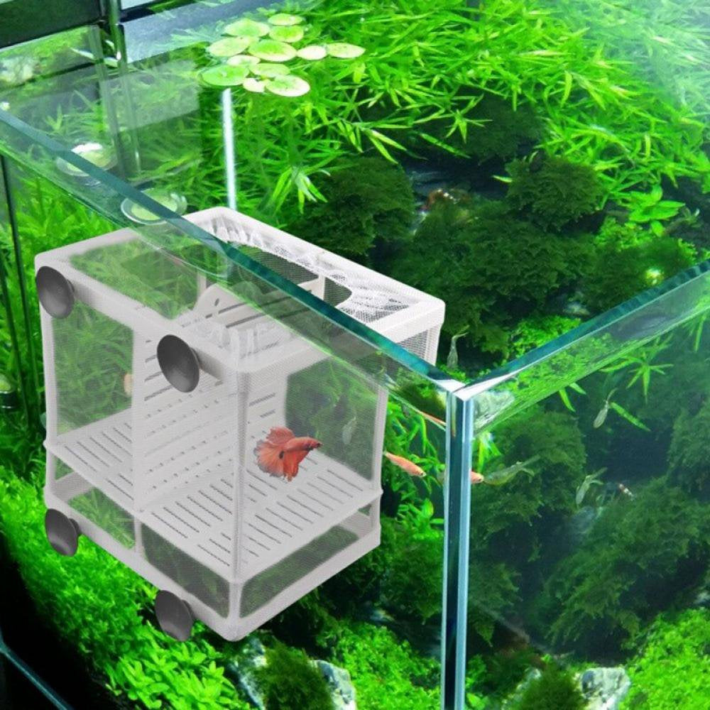 Sweetcandy Fish Nursery for Aquarium-Fish Breeding Net Hang on Breeder Box