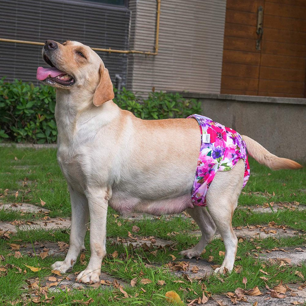 Dog Diapers Female Reusable Period Panties Washable Puppy Pee Pads for Untr Animals & Pet Supplies > Pet Supplies > Dog Supplies > Dog Diaper Pads & Liners Home Décor   
