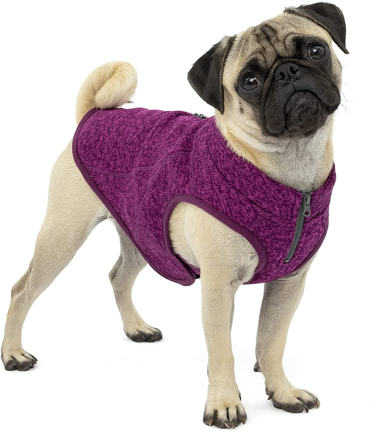 Kurgo K9 Core Dog Sweater | Year-Round Sweater for Dogs | Dog Fleece Vest | Knit Fleece Pet Jacket | Fleece Lining | Lightweight | Zipper Opening for Harness | Adjustable Neck | Black | Medium Animals & Pet Supplies > Pet Supplies > Dog Supplies > Dog Apparel Radio Systems Corporation Heather Violet Small 