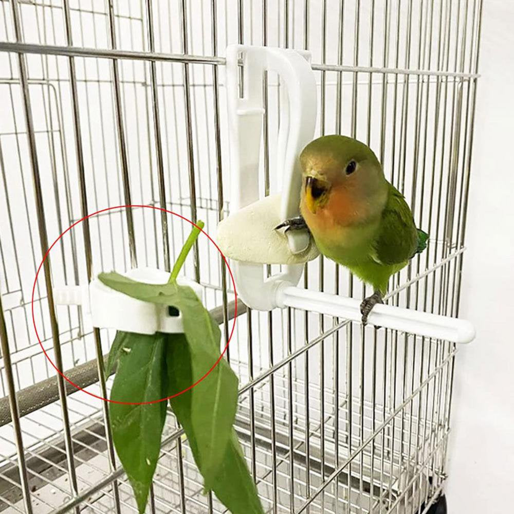 IMSHIE Parrot Food Clips, Bird Cage Food Holder, Parakeet Cage Accessories, Food Feeder Clip for Bird Budgie Parakeet Cockatoo Macaw Cockatiel Conure, White Very Well Animals & Pet Supplies > Pet Supplies > Bird Supplies > Bird Cage Accessories IMSHIE   