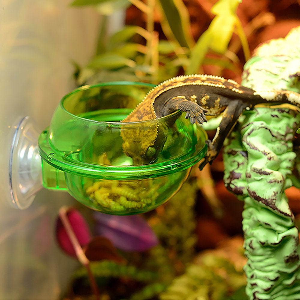 Huntermoon Chameleon Reptile Feeder Feeding Container Lizard Feeder Can Be Connected with Animal Feeder Amphibian Animal Animals & Pet Supplies > Pet Supplies > Reptile & Amphibian Supplies > Reptile & Amphibian Food Huntermoon   