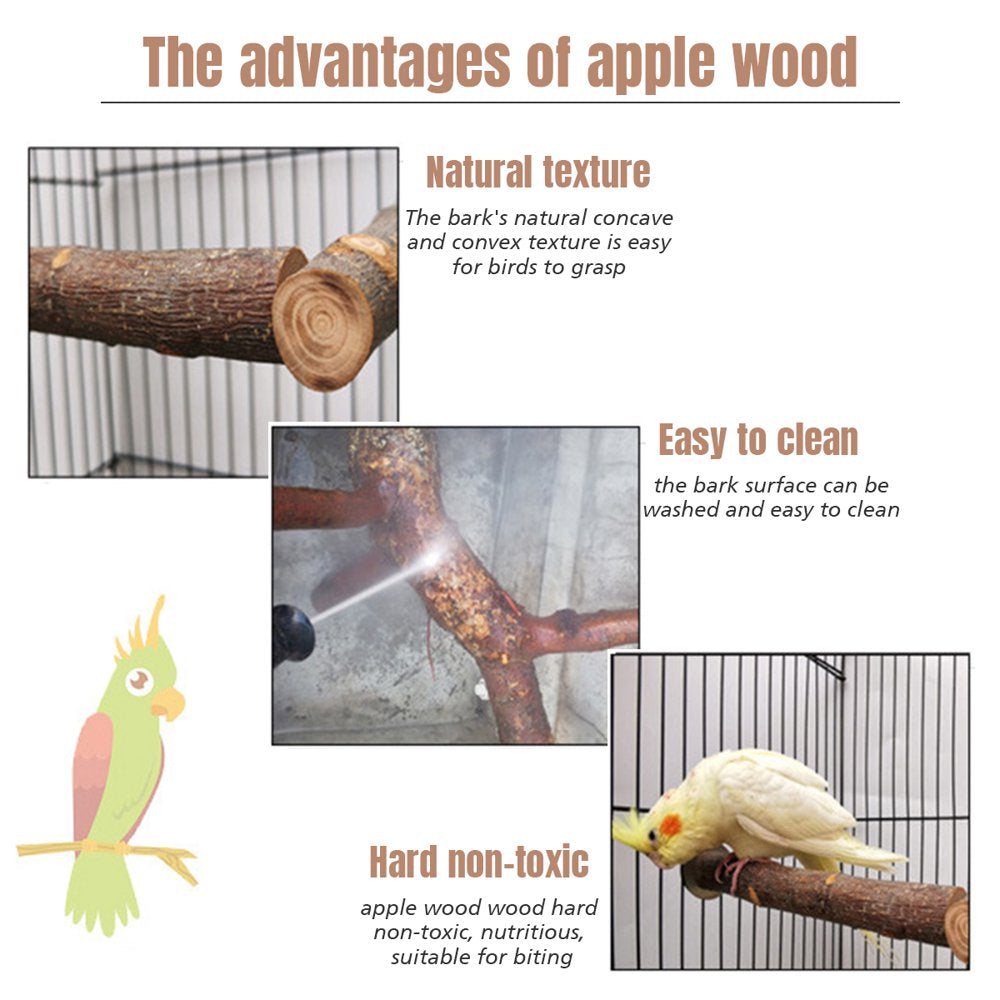 QBLEEV Bird Parrot Chewing Swing Apple Wood Swing, Bird Hanging Bell Perches Chewing Toy for Small Parakeets Cockatiels, Conures, Love Birds, Finches and Other Small Animals Animals & Pet Supplies > Pet Supplies > Bird Supplies > Bird Toys QBLEEV   