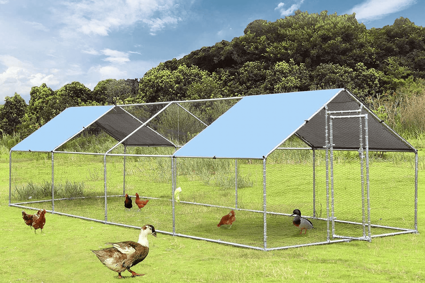 1.25” Tube Chicken Coop Run Large Metal Chicken Pen Outdoor Walkin Chicken Runs for Yard Large Rabbits Habitat Spire Shaped Poultry Cage with Waterproof Cover for Backyard Farm(9.8’L X 13.1’W X 6.4’H) Animals & Pet Supplies > Pet Supplies > Dog Supplies > Dog Kennels & Runs Catrimown Spire 9.8’L x 26.2’W x 6.4’H 