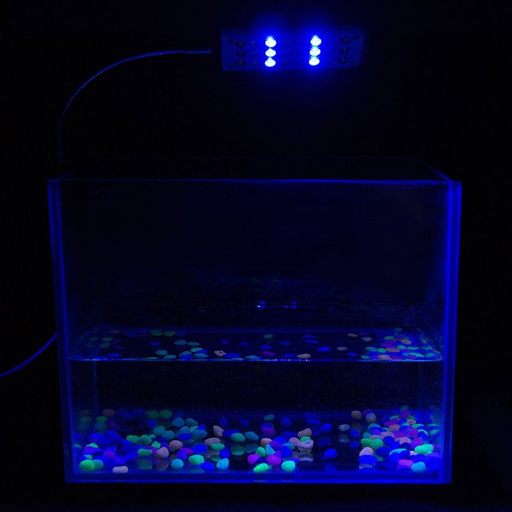 1.5W 24 LED Aquarium Clamp Light Fish Tank Lamp 2 Mode Blue and White US Plug Animals & Pet Supplies > Pet Supplies > Fish Supplies > Aquarium Lighting ELENXS   