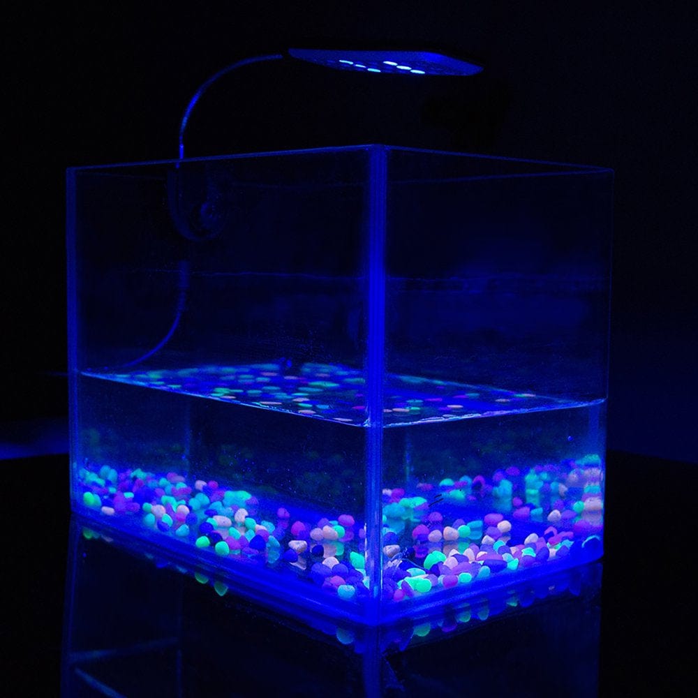 1.5W 24 LED Aquarium Clamp Light Fish Tank Lamp 2 Mode Blue and White US Plug Animals & Pet Supplies > Pet Supplies > Fish Supplies > Aquarium Lighting ELENXS   