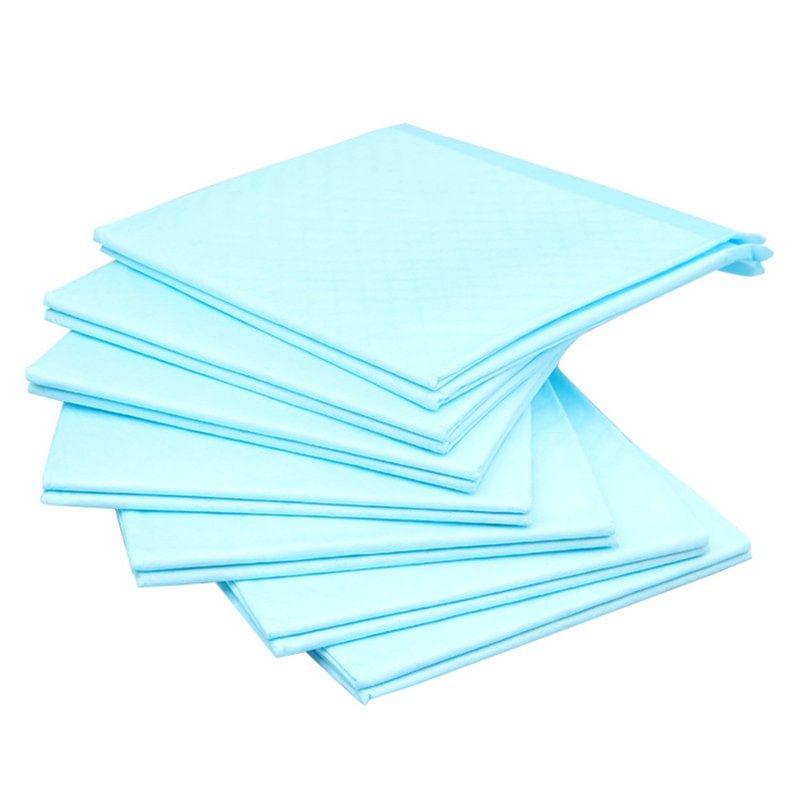 1 Bag Absorbent Cat Dog Urine Pad Disposable Diaper Pet Dog Mat Nappy Pet Pee Paper New Pet Clothing Accessories Animals & Pet Supplies > Pet Supplies > Dog Supplies > Dog Diaper Pads & Liners Saekor   