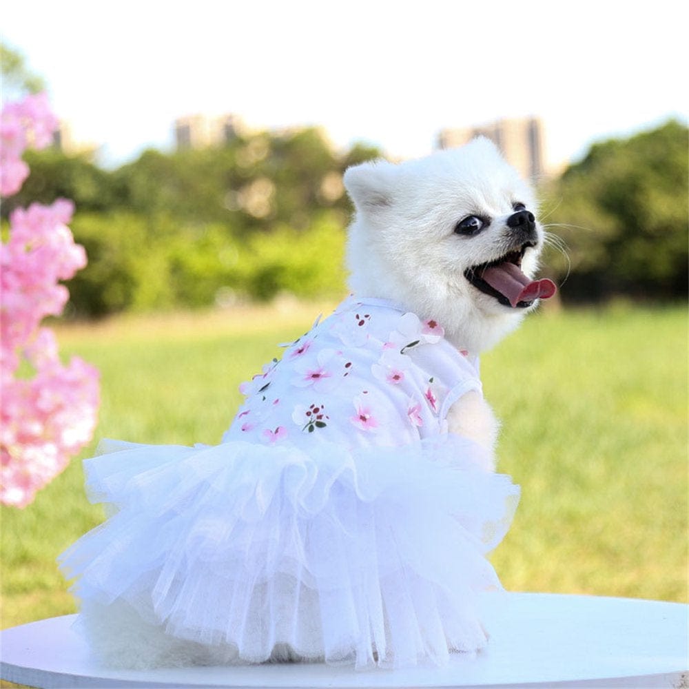 1 Pack Dog Dresses for Small Dogs, Summer Cute Tutu Princess Dress Pet Skirt Apparel Puppy Clothes Costume Peach Blossom Cat Dress Outfits for Yorkie Teacup Tiny Dog Chihuahua, White (XS) Animals & Pet Supplies > Pet Supplies > Cat Supplies > Cat Apparel WGR M White 