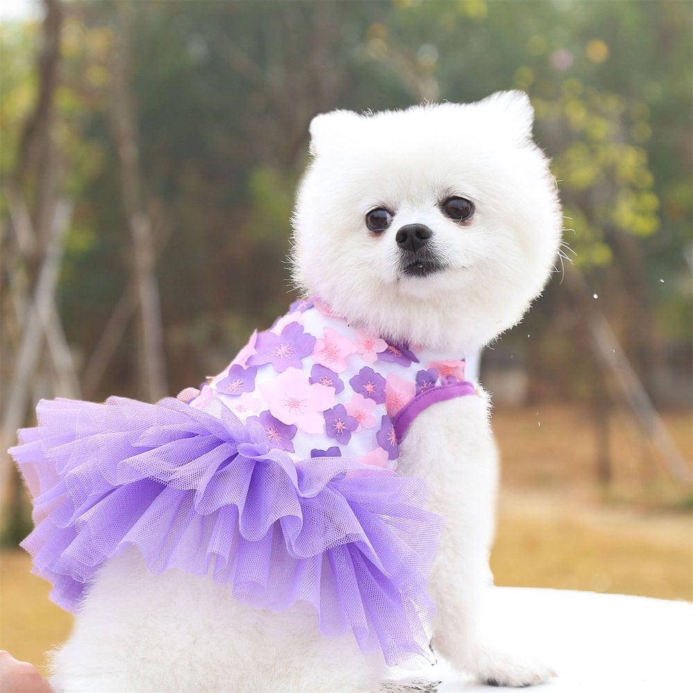 1 Pack Dog Dresses for Small Dogs, Summer Cute Tutu Princess Dress Pet Skirt Apparel Puppy Clothes Costume Peach Blossom Cat Dress Outfits for Yorkie Teacup Tiny Dog Chihuahua, White (XS) Animals & Pet Supplies > Pet Supplies > Cat Supplies > Cat Apparel WGR S Purple 