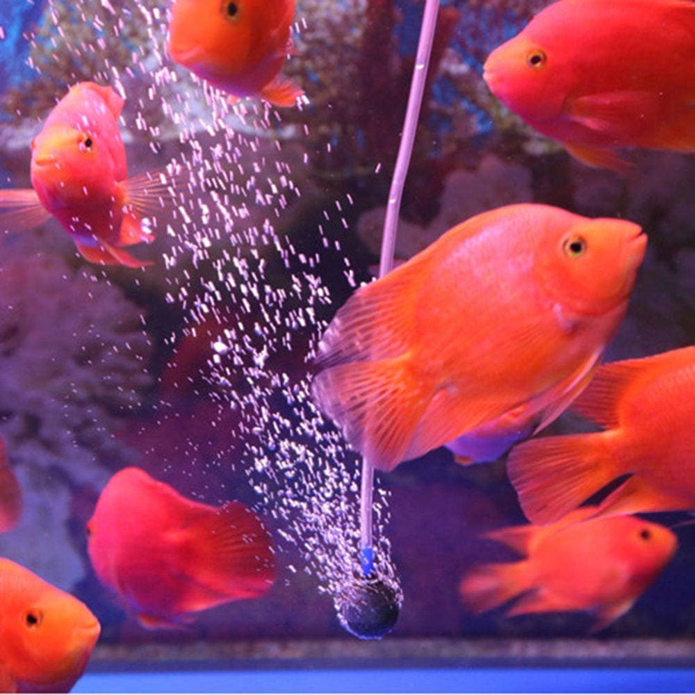 1 Pc Pro Aquarium Fish Tank Air Bubble Stone Hydroponic Oxygen Aerator Diffuser Animals & Pet Supplies > Pet Supplies > Fish Supplies > Aquarium Air Stones & Diffusers duixinghas   