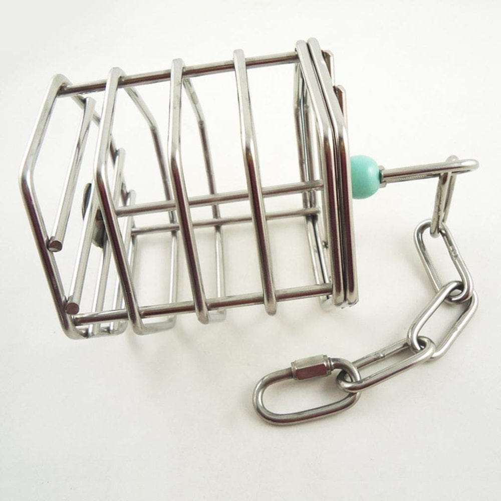 1 Piece Pet Bird Foraging Cage Parrot Stand Perch Toy Hanging Feeder Waterproof Free Size Animals & Pet Supplies > Pet Supplies > Bird Supplies > Bird Cages & Stands perfk   