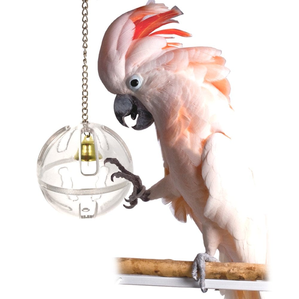 1 Set Bird Parrot Toys Swing Chewing Hanging Bell Rope Cage Hammock Bird Parakeet Cockatiels Perches for Play Gym Playgr Animals & Pet Supplies > Pet Supplies > Bird Supplies > Bird Gyms & Playstands WANGFUFU   