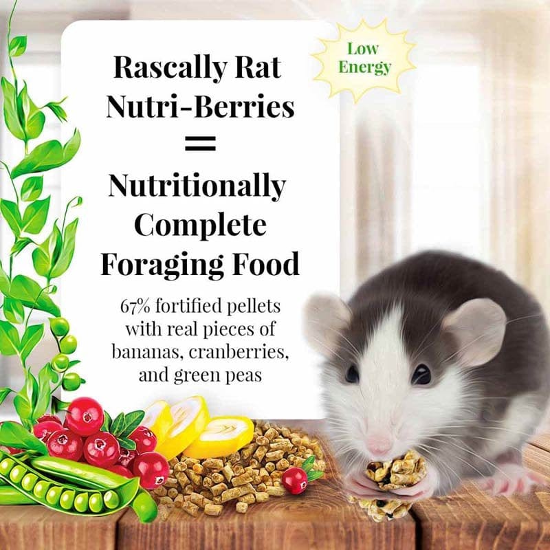 10 Oz Lafeber Nutritionally Complete Adult Rat Food with Bananas Cranberries and Peas