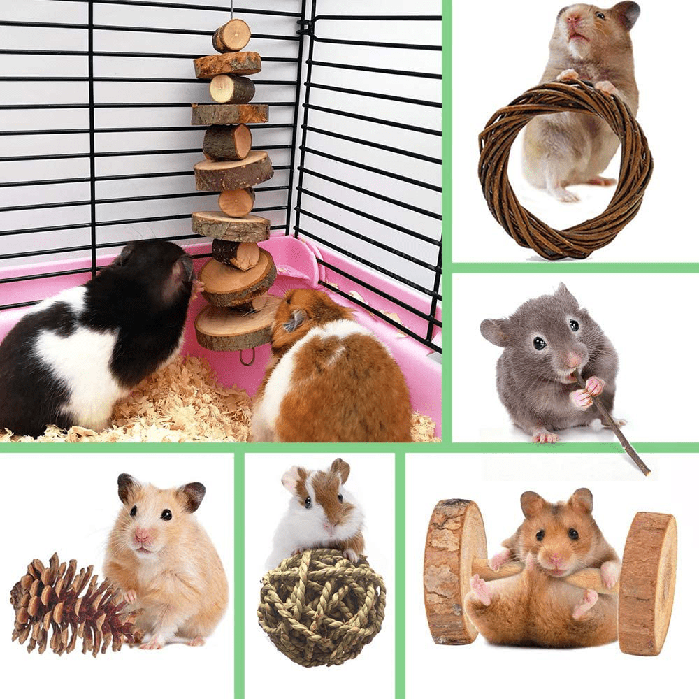 10 Pack Small Animal Combo Apple Wood Activity Toys, Hamsters Chew Toys, Rat Chinchilla Snacks Toys for Pets Organic Natural Accessories