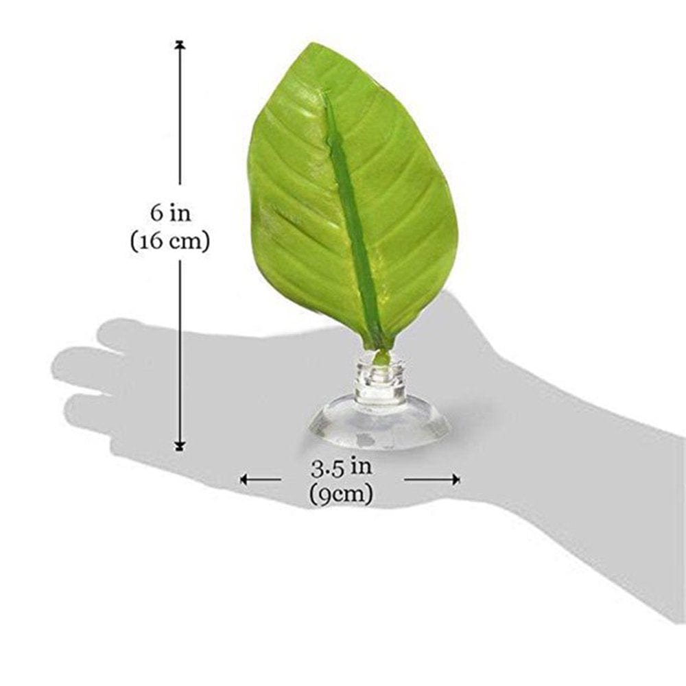 10 Pcs Fish Leaf Pad Betta Hammock for Betta Fish, Light and Realistic, Practical, Comfortable and Safe for Small Fish Tanks, Large Fish Tanks, Aquariums Animals & Pet Supplies > Pet Supplies > Fish Supplies > Aquarium Lighting Laidan   