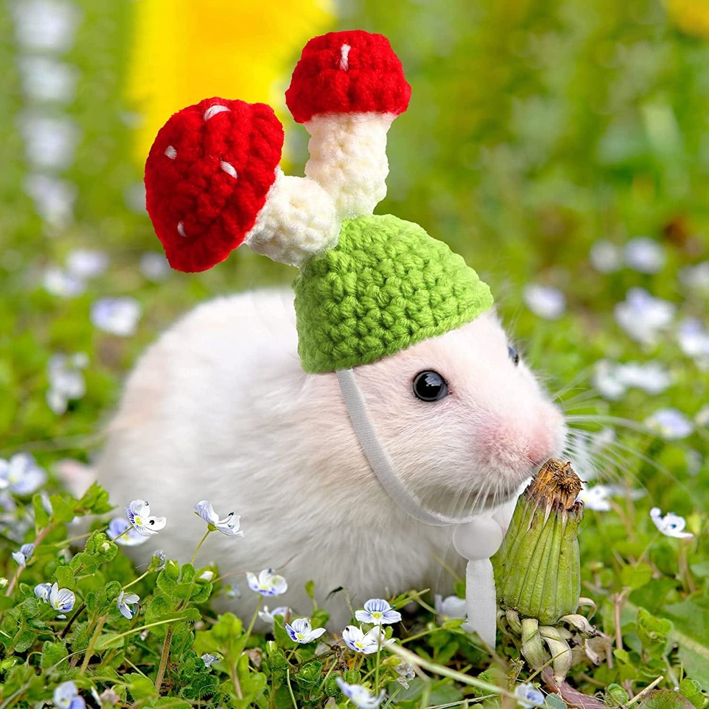 10 Pcs Hamster Hat Small Animals Cute Tiny Hat Mini Hand Knitted Hats for Snakes Pets Bearded Dragon Guinea Pig Bunny Costume Accessories Holiday Parties Animals & Pet Supplies > Pet Supplies > Dog Supplies > Dog Apparel Kajaia   