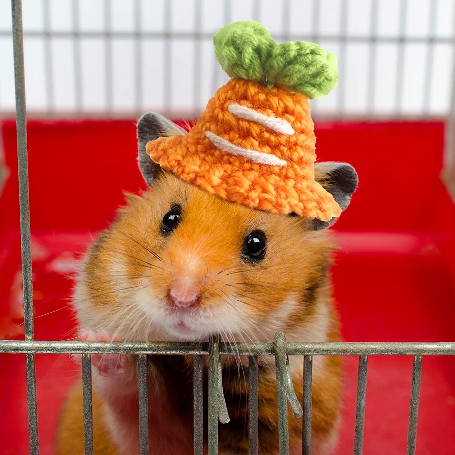 10 Pcs Hamster Hat Small Animals Cute Tiny Hat Mini Hand Knitted Hats – KOL  PET