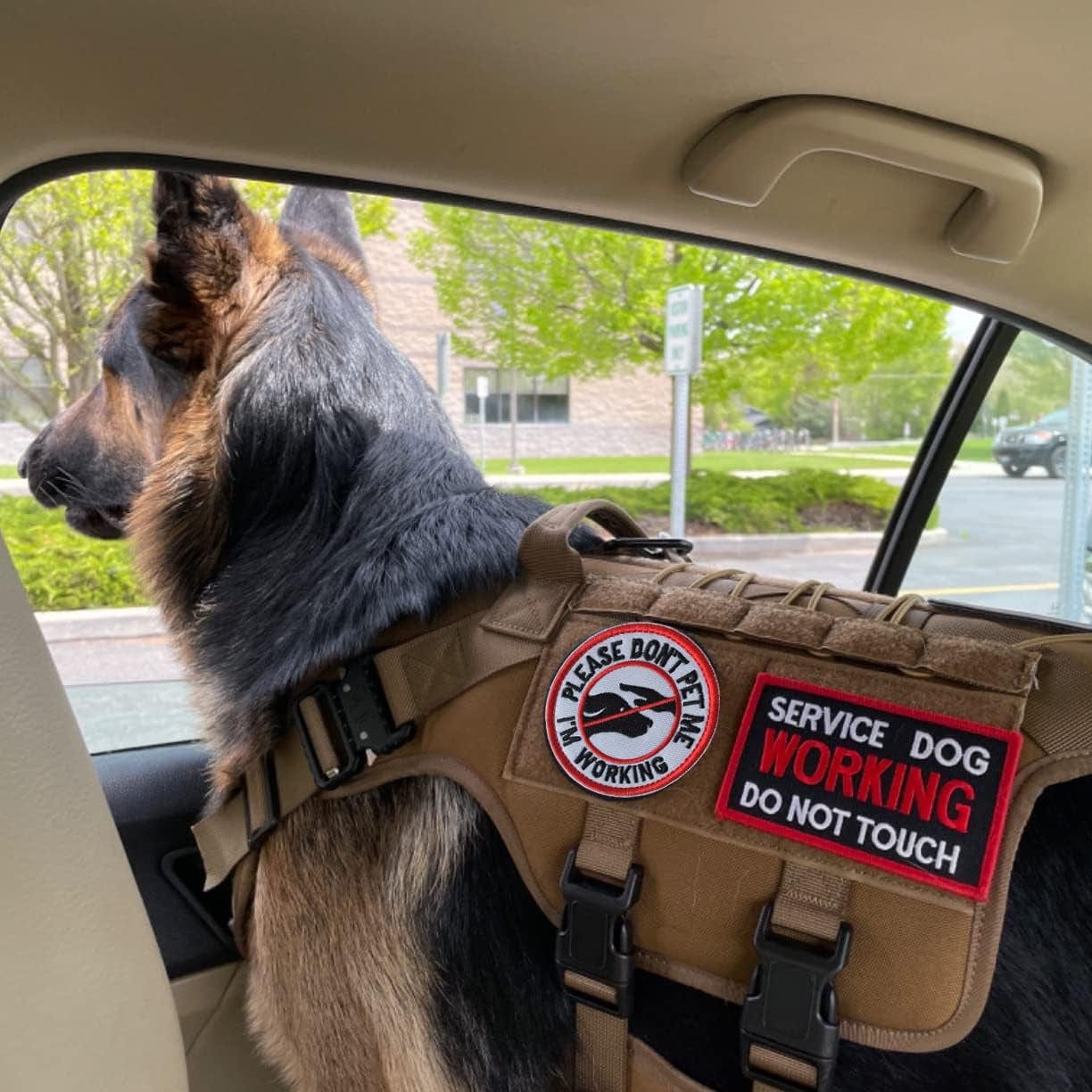 10 Pieces Service Dog K9 Please Don'T Pet Me in Training No Touch Full Embroidered Badge Emblem Patch for Service Dogs Harness Vest Clothes Animals & Pet Supplies > Pet Supplies > Dog Supplies > Dog Apparel J.CARP   