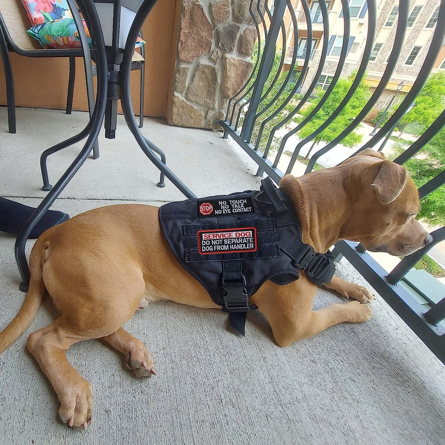 Dog vest with patches best sale