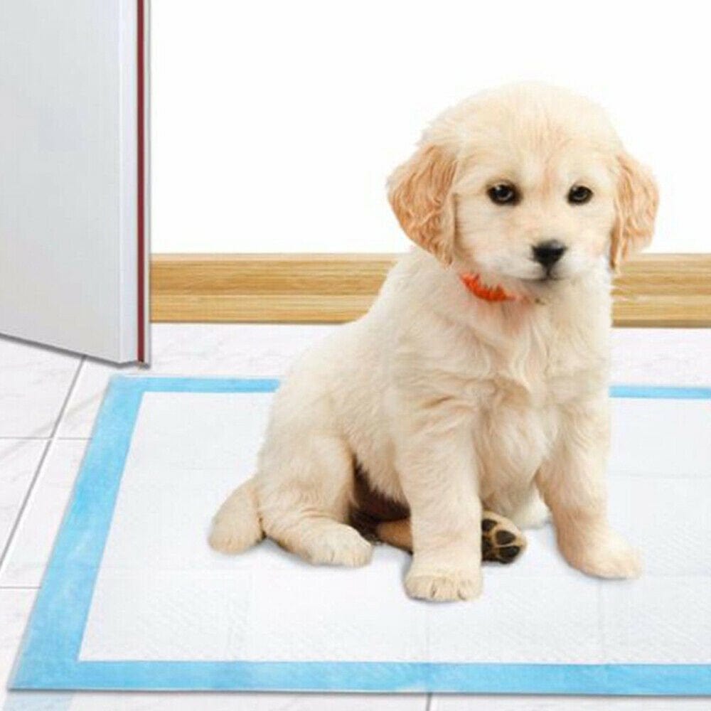 100 Pcs Super Absorbent Pee Pads, Disposable Cage Liner Diapers, Small Animals Potty Training Mats for Cat, Dog, 13 X 17.72 Inches