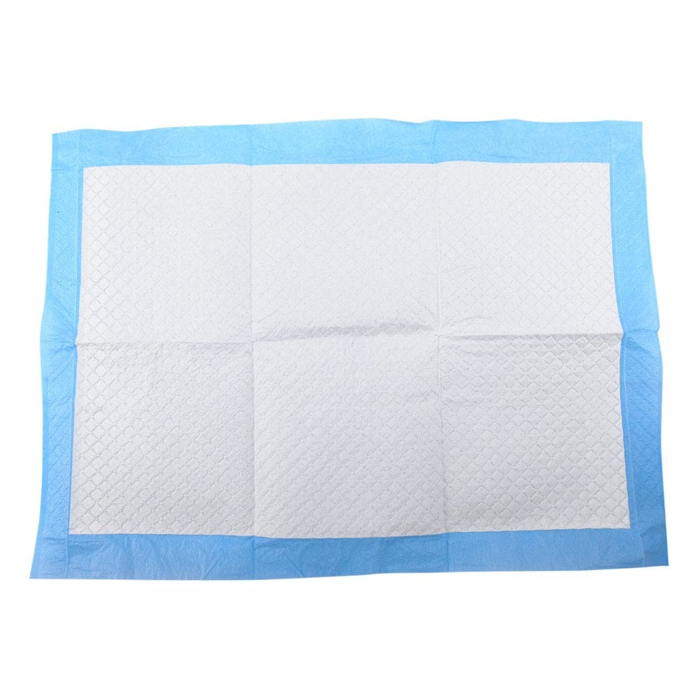 100Pcs Super Absorbent Pet Diaper Dog Training Disposable Healthy Nappy Mat for Dog Cats Animals & Pet Supplies > Pet Supplies > Dog Supplies > Dog Diaper Pads & Liners KOL PET   