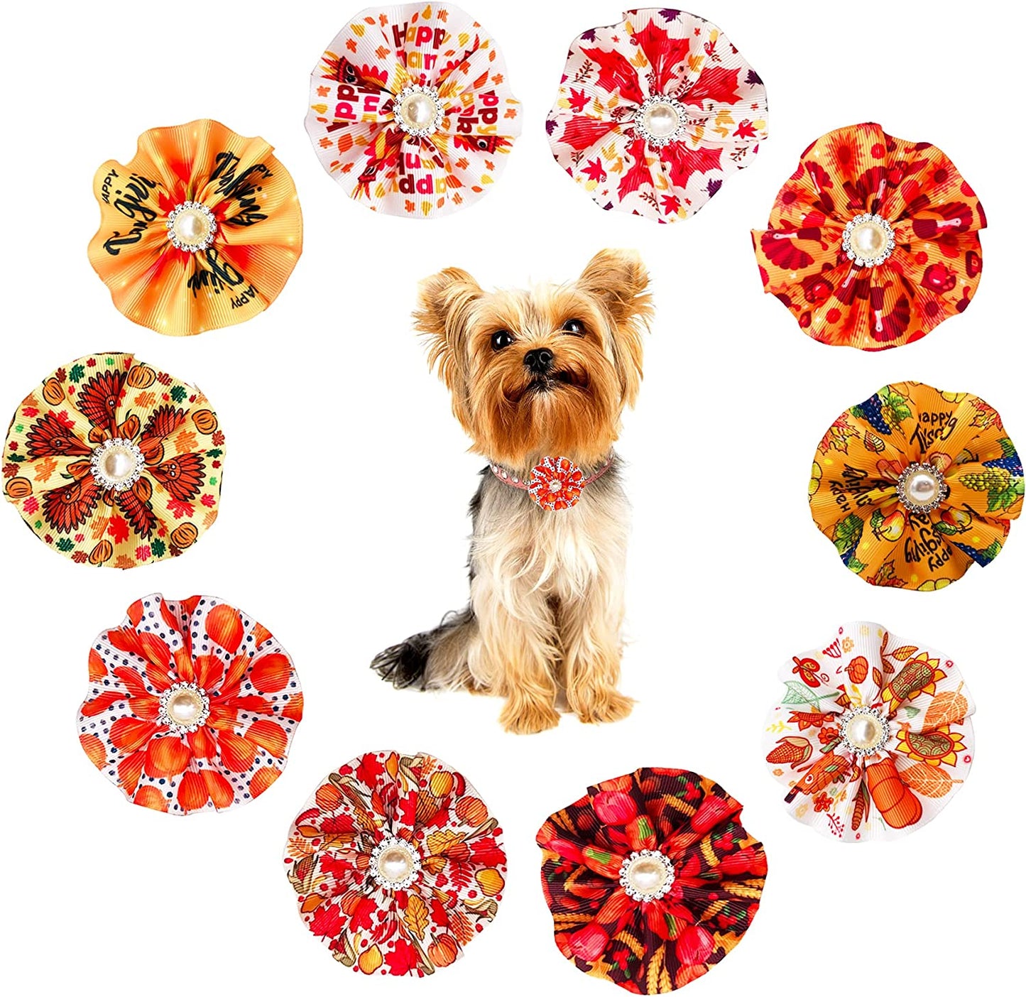 Jpgdn 10Pcs Small Dogs Collar Bow Ties for St.Patrick'S Day Puppy Collar Bows Bowknot for Small and Medium Doggy Cat Kitten Rabbit Pet Sliding Collar Grooming Accessories Attachment Embellishment Animals & Pet Supplies > Pet Supplies > Dog Supplies > Dog Apparel JpGdn Thanksgiving dog collar flower  