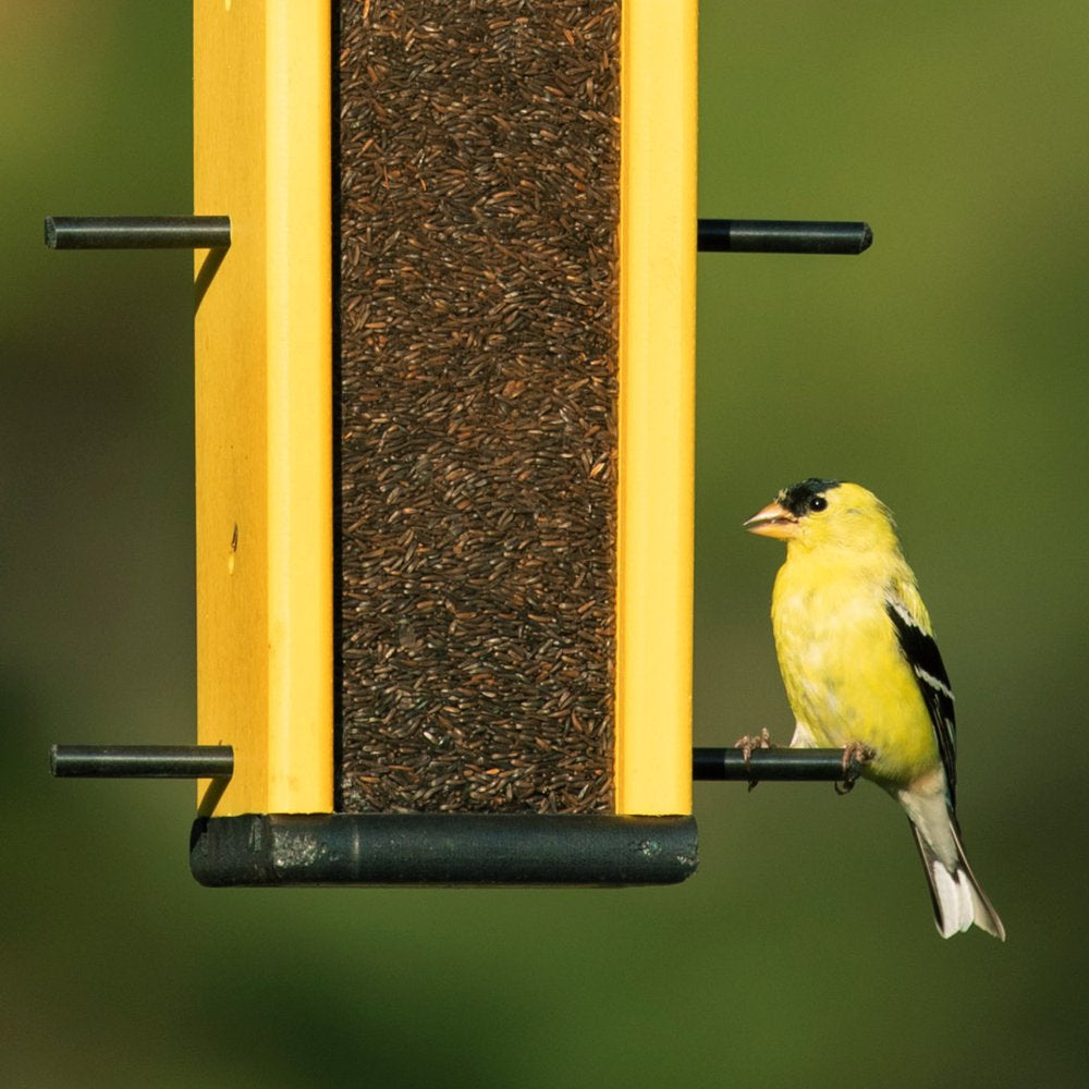 Audubon Park Nyjer Seed Wild Bird Food, 15 Lb. Bag Animals & Pet Supplies > Pet Supplies > Bird Supplies > Bird Food Global Harvest Foods Ltd.   