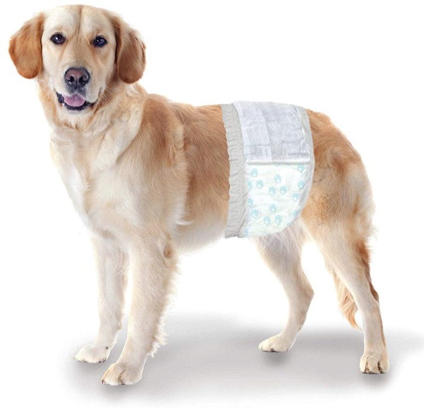 108 Count (3 X 36 Ct) Four Paws Wee Wee Disposable Male Dog Wraps Medium/Large Animals & Pet Supplies > Pet Supplies > Dog Supplies > Dog Diaper Pads & Liners Four Paws   