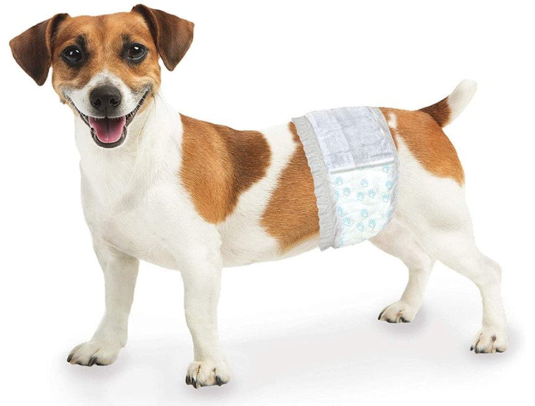 108 Count (3 X 36 Ct) Four Paws Wee Wee Disposable Male Dog Wraps X-Small/Small Animals & Pet Supplies > Pet Supplies > Dog Supplies > Dog Diaper Pads & Liners Four Paws   