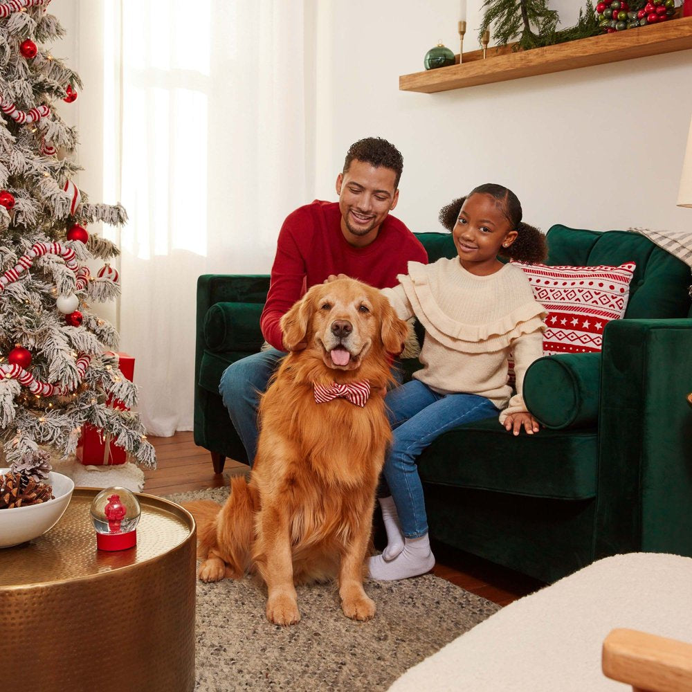 Milk-Bone Holiday Dog Biscuits, 24 Oz. Tin Animals & Pet Supplies > Pet Supplies > Dog Supplies > Dog Treats The J.M. Smucker Company   