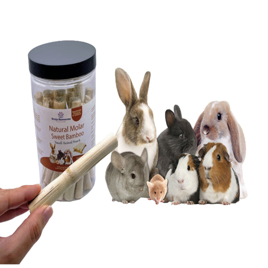 Sweet Dried Natural Bamboo Sticks Chew Treat for Rabbit, Hamster, Guinea Pig, Gerbil, Chinchilla and Small Rodents.