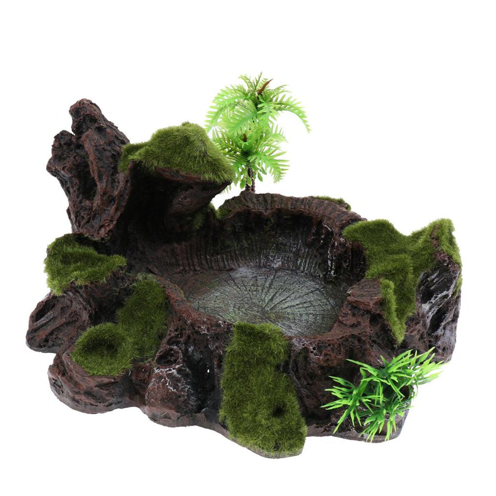 Plant Decor Resin Amphibians and Reptile Feeding Water Drinking Food Dish Tray Pet Tortoise Gecko Spider Animals & Pet Supplies > Pet Supplies > Reptile & Amphibian Supplies > Reptile & Amphibian Food Generic   