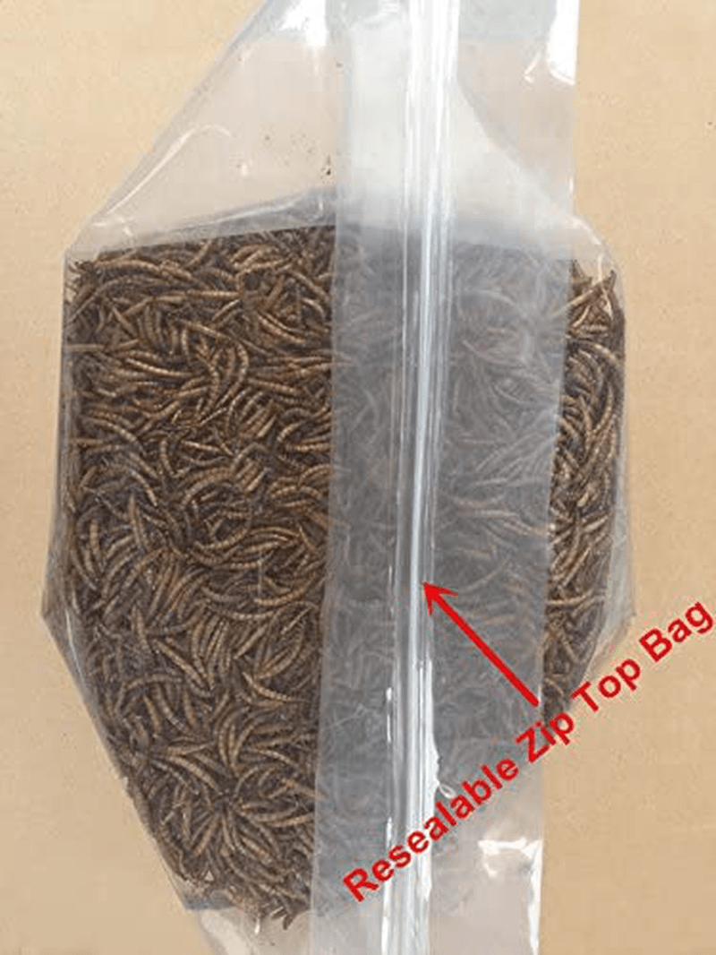 10Lbs Bulk Non-Gmo Dried Mealworms for Reptile , Tortoise ; Amphibian ,Lizard ;Wild Birds; Chichens; Duck Etc Animals & Pet Supplies > Pet Supplies > Reptile & Amphibian Supplies > Reptile & Amphibian Substrates Hatortempt   