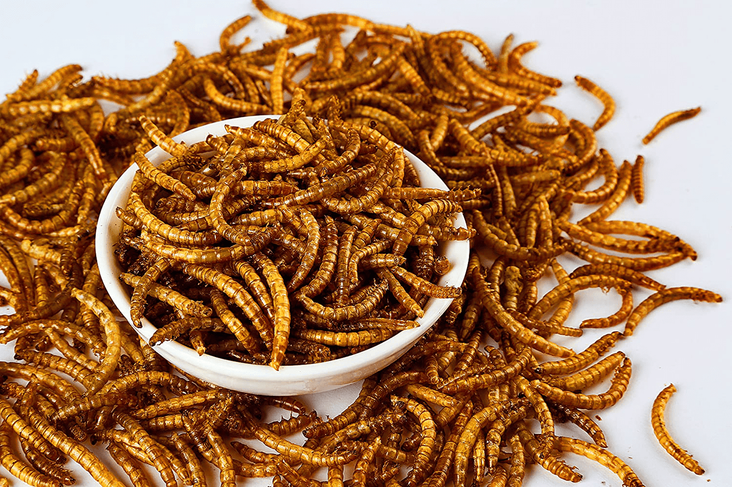 10Lbs Bulk Non-Gmo Dried Mealworms for Reptile , Tortoise ; Amphibian ,Lizard ;Wild Birds; Chichens; Duck Etc Animals & Pet Supplies > Pet Supplies > Reptile & Amphibian Supplies > Reptile & Amphibian Substrates Hatortempt   