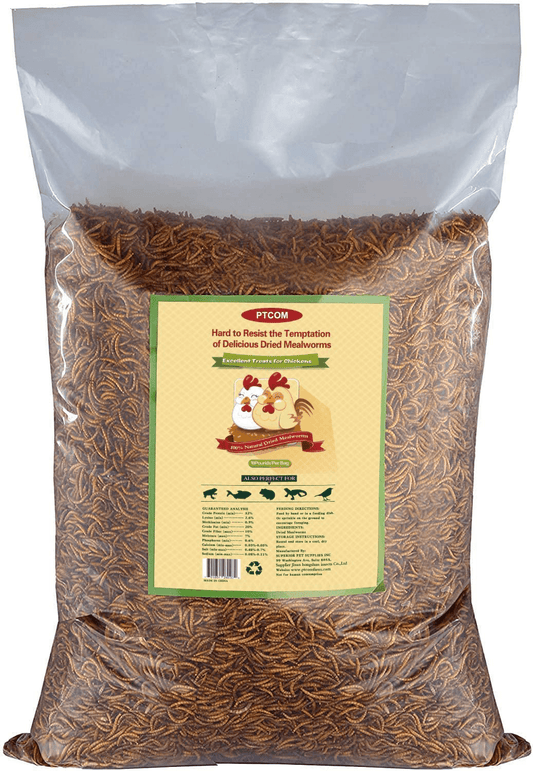 10Lbs Bulk Non-Gmo Dried Mealworms for Reptile , Tortoise ; Amphibian ,Lizard ;Wild Birds; Chichens; Duck Etc Animals & Pet Supplies > Pet Supplies > Bird Supplies > Bird Food Hatortempt   
