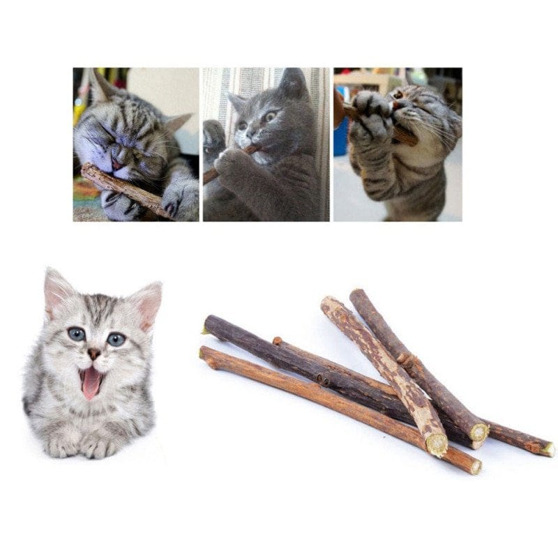 10Pcs Catnip Sticks Cat Chew Toy, Cat Molar Teeth Cleaning Stick Natural Catnip Chew Stick Treat Pet Cat Kitten Toy Animals & Pet Supplies > Pet Supplies > Cat Supplies > Cat Treats Balems   