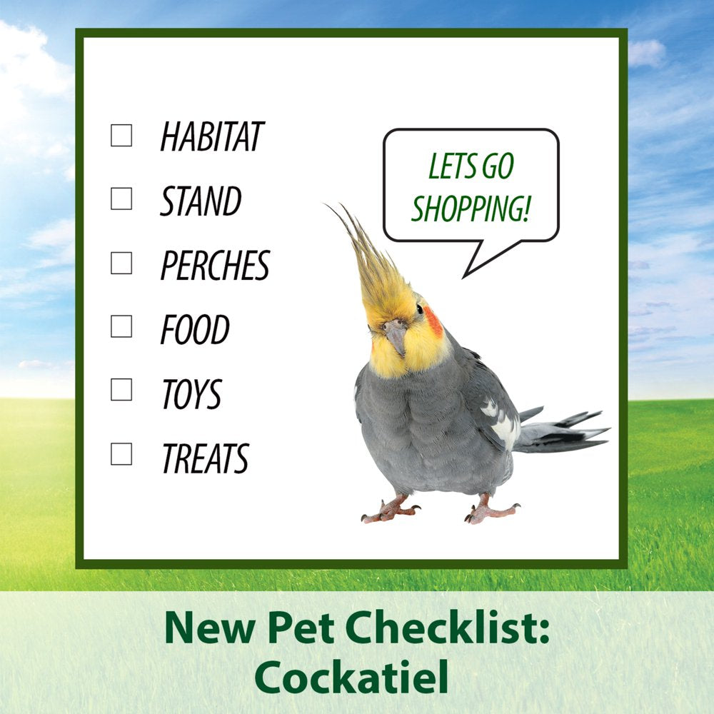 Kaytee Forti-Diet Honey Flavored Treat Stick for Cockatiels, Multipack Animals & Pet Supplies > Pet Supplies > Bird Supplies > Bird Treats Central Garden and Pet   