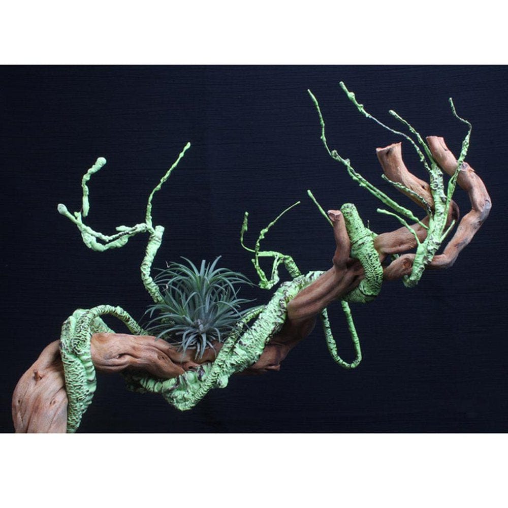 110Cm/43.3'' Long Artificial for Reptile Amphibian Green Simulation Plants Pet Jungle Habitat Animals & Pet Supplies > Pet Supplies > Small Animal Supplies > Small Animal Habitat Accessories perfk   