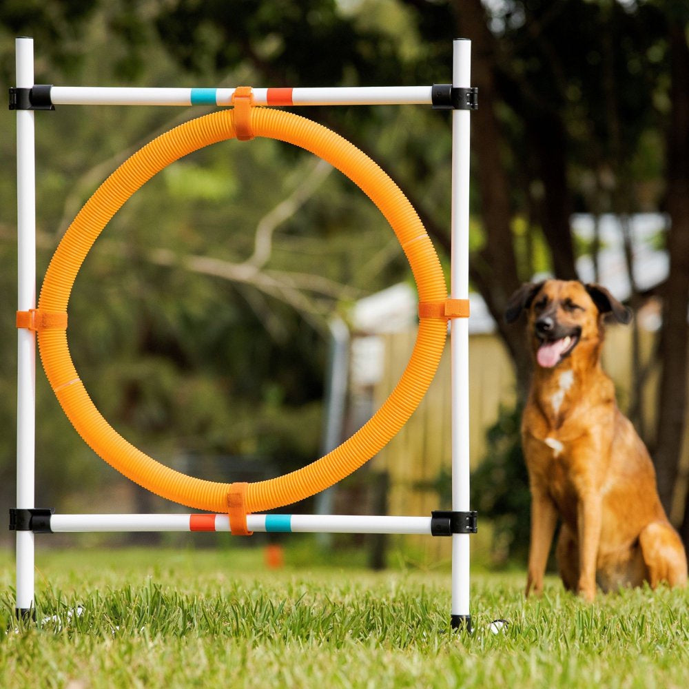 Midlee Dog Agility Hoop Jump Animals & Pet Supplies > Pet Supplies > Dog Supplies > Dog Treadmills Midlee   