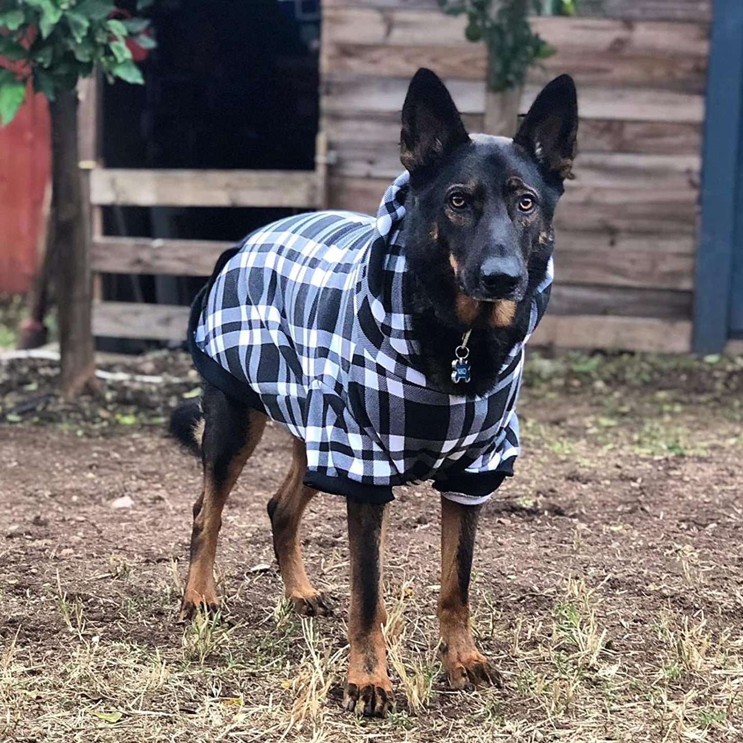 BINGPET Dog Plaid Hoodie - Pocket Design - Dog Fleece Sweater with Hat Pet Winter Clothes Plaid Dog Sweatershirts for Winter Animals & Pet Supplies > Pet Supplies > Dog Supplies > Dog Apparel BBPET   