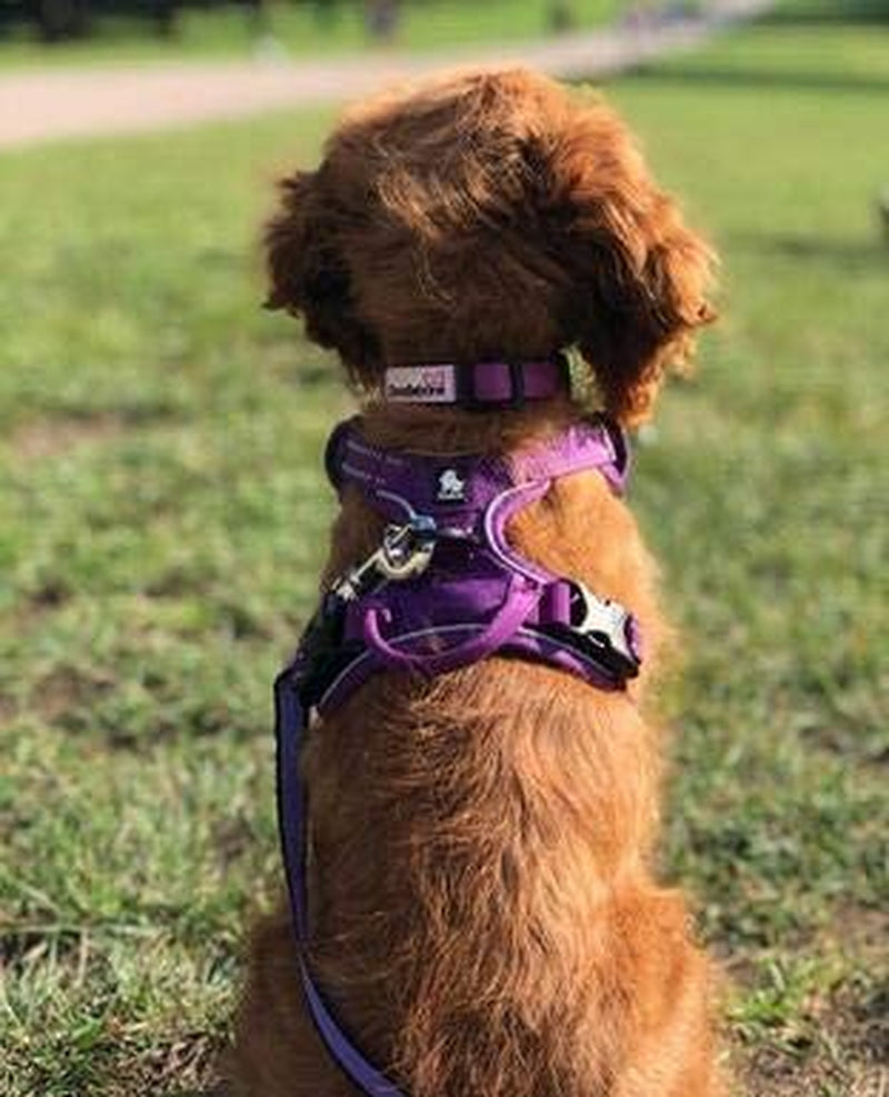 Tineer Reflective Nylon Large Pet Dog Harness 3M Reflective Vest with Handle All Weather Dog Service Padded Adjustable Safety Vehicular Leads for Dogs Pet (XS, Purple) Animals & Pet Supplies > Pet Supplies > Dog Supplies > Dog Apparel Tineer   