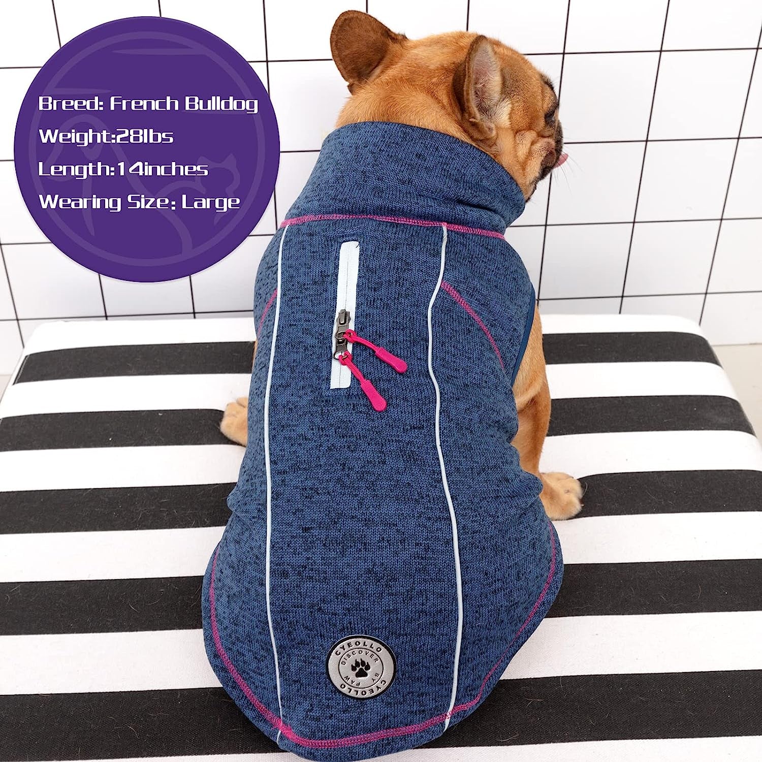 Cyeollo Dog Sweater Jacket Fleece Vest Reflective Coat with Harness Hole Pet Winter Coat Cold Weather Dog Clothes for Small Dogs Boy Animals & Pet Supplies > Pet Supplies > Dog Supplies > Dog Apparel cyeollo   